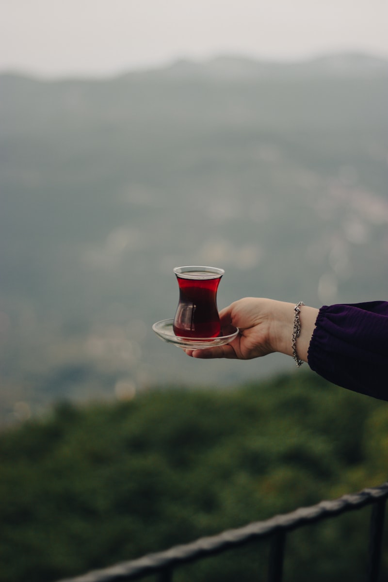 Obam Otel’de Doğa ile Baş Başa Bir Tatil Deneyimi